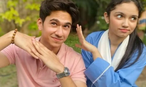 عینا آصف کب شادی کب کریں گی؟ مداحوں کو واضح جواب دے دیا