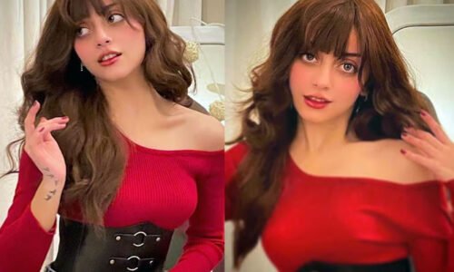 جتنی نظر آتی ہوں اندر سے اتنی مضبوط نہیں، علیزے شاہ