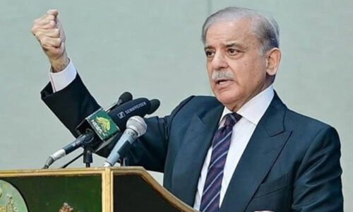 پاکستان کا پانی روکا گیا تو بھرپور طاقت سے جواب دیں گے، وزیراعظم شہباز شریف