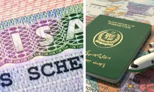 بیروزگار ہیں؟ مسئلہ نہیں! پاکستانیوں کو نوکری کی تلاش کیلئے ویزا دینے والے 7 ممالک
