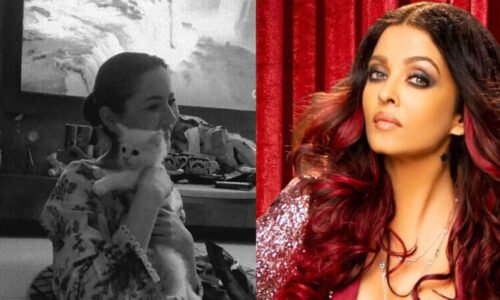 ہانیہ نے اپنی بلی کا نام ”ایشوریا“ رکھ دیا، انٹرنیٹ پر ہلچل مچ گئی