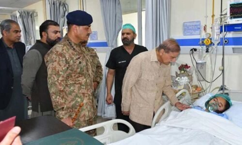 بیرونی سرپرستی میں ہونیوالی دہشتگردی کیخلاف جنگ کو منطقی انجام تک پہنچایا جائے گا: وزیر اعظم و فیلڈ مارشل