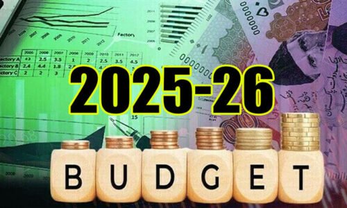 قومی بجٹ 2025-26: معیشت کی راہ میں اُمید کی کرن یا چیلنجز کا سامنا؟