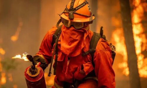 لاہور کے علاقے والٹن میں آگ بھڑک اٹھی، فائر بریگیڈ موقع پر پہنچ گئی