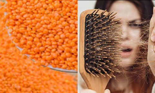 کیا مسور دال سلاد بالوں کو جھڑنے اور گرنے سے روکنے میں مدد کرسکتی ہے