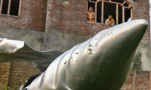 معروف فرانسیسی اخبارنےبھارتی فضائیہ کی نااہلی کاپول کھول دیا