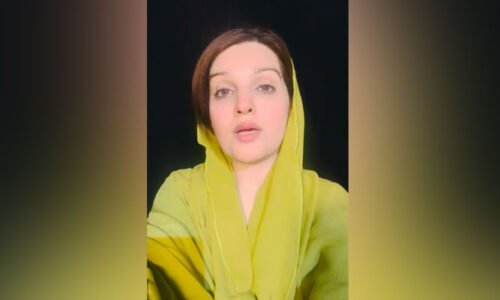 بھارت کی دھمکیوں اور ظلم کے خلاف حکومتی اقدام ضروری، آزاد کشمیر کو وار کونسل قرار دیا جائے، مشعال ملک کا مطالبہ