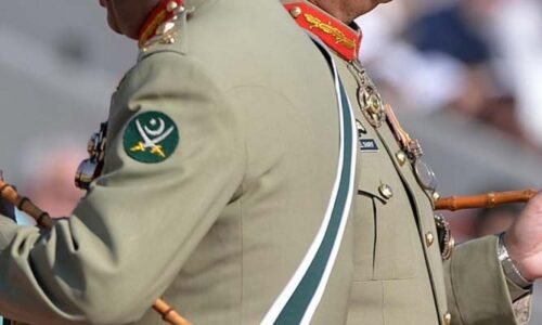 فیلڈ مارشل کا عہدہ کیا ہوتا ہے؟ ایک تاریخی اور عسکری جائزہ
