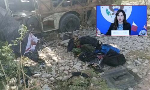 خضدار اسکول بس پر حملہ بے رحمانہ ہے، امریکی سفیر نٹالی بیکر کی مذمت