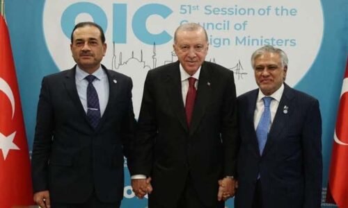 نائب وزیراعظم اسحاق ڈار اور فیلڈ مارشل عاصم منیر کی ترک صدر سے استنبول میں ملاقات