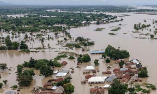 نائیجیریا میں سیلاب سے تباہی ، 151 افراد ہلاک ، ہزاروں بے گھر