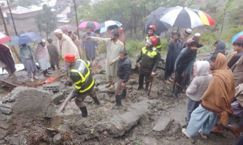 خیبر پختونخوا میں حالیہ بارشوں سے 19 افراد جاں بحق، نقصانات کی رپورٹ جاری