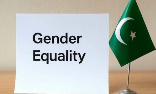 عالمی صنفی فرق رپورٹ 2025 میں پاکستان کی کارکردگی: ستون وار موازنہ