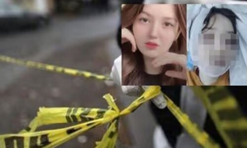 ٹک ٹاکر ثنا یوسف کا قاتل فیصل آباد سے گرفتار