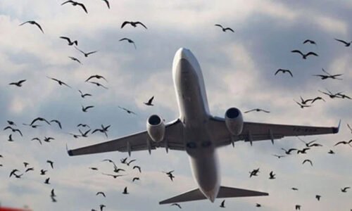 نان فائلرز کے لئے بڑی مشکل، بیرون ملک سفری پابندی عائد کرنے کی بھی تجویز