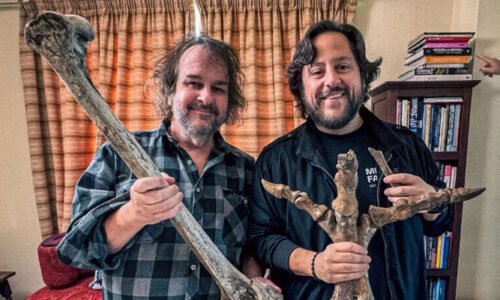 دیو ہیکل پرندے کی واپسی؟ سائنسدان ناپید پرندے کو دوبارہ زندہ کرنے کے مشن پر