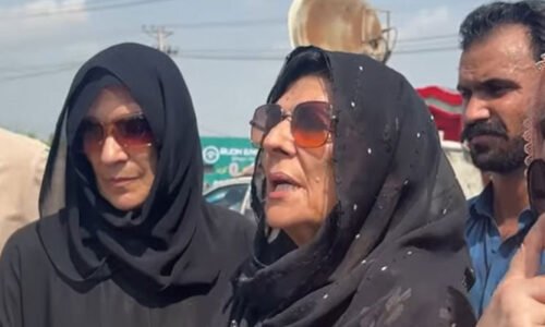 قاسم اور سلمان پی ٹی آئی کی احتجاجی تحریک کا حصہ بنیں گے :علیمہ خان