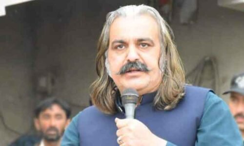 ہم نہیں یا تم ، علی امین نے عمران خان کی رہائی کیلئے تین ماہ کی ڈیڈ لائن دیدی