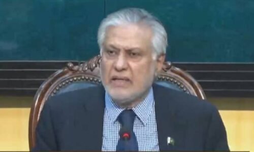 ہمارے پاس مضبوط افواج اور جدید ہتھیار موجود ہیں، کسی کو سالمیت کی خلاف ورزی کی اجازت نہیں دینگے: ڈار