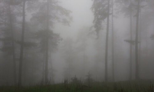 مری کا موسم شدید خراب، مقامی افراد اور سیاحوں کیلئے اہم ہدایات