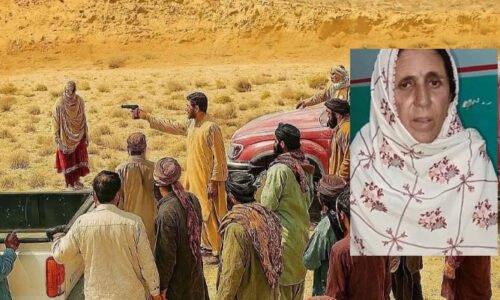 کوئٹہ: غیرت کے نام پر قتل، کہانی کا نیا موڑ، مقتولہ بانو کی مبینہ والدہ کا ویڈیو بیان منظرِ عام پر آگیا