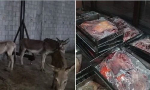کہیں آپ گدھے کا گوشت تو نہیں کھا رہے؟ پہچان کا آسان طریقہ