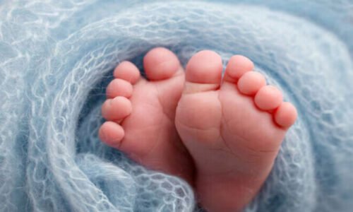 بھارت میں سروگیسی اور بچوں کی اسمگلنگ کا بڑا اسکینڈل بے نقاب