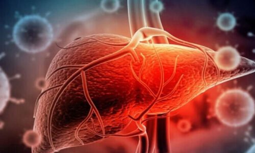 ہیپاٹائٹس ڈی: عالمی ادارہ صحت سے ’کینسر‘ کا ٹائٹل پانے والی یہ نئی بیماری کیا ہے؟