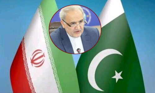 ایرانی صدر کا پرتپاک استقبال کرنے پر رضا امیری کا پاکستان کو خراج تحسین