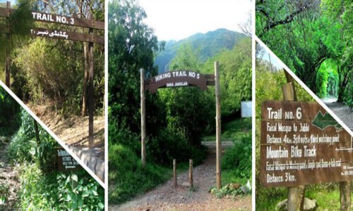 اسلام آباد میں 13 اگست کو تمام ہائیکنگ ٹریل بند کرنے کا فیصلہ