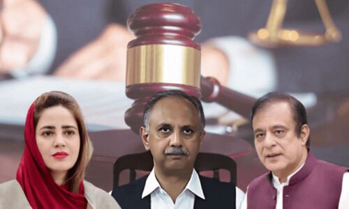 رانا ثنا اللہ کے گھر حملے کا کیس: عمر ایوب، شبلی فراز، زرتاج گل سمیت 59 ملزمان کو 10،10 سال قید کی سزا