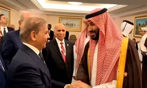 عرب اسلامی سربراہ اجلاس: وزیراعظم کی سعودی ولی عہد ، ترک صدر سمیت عالمی رہنماؤں سے ملاقاتیں