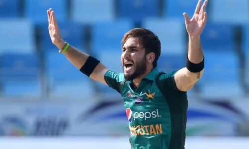 عثمان شنواری کا انٹرنیشنل کرکٹ سے ریٹائرمنٹ کا اعلان