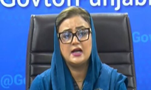 وزیر اعلیٰ پنجاب نے پرائیویٹ کشتیوں کے زائد معاوضے کا نوٹس لے لیا، عظمیٰ بخاری