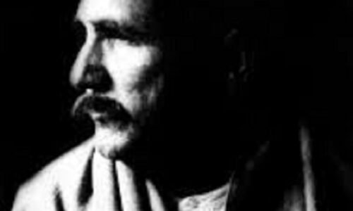 علامہ اقبال کے فلسفے میں گلِ لالہ: حریت، خودی اور جمالیات کا استعارہ